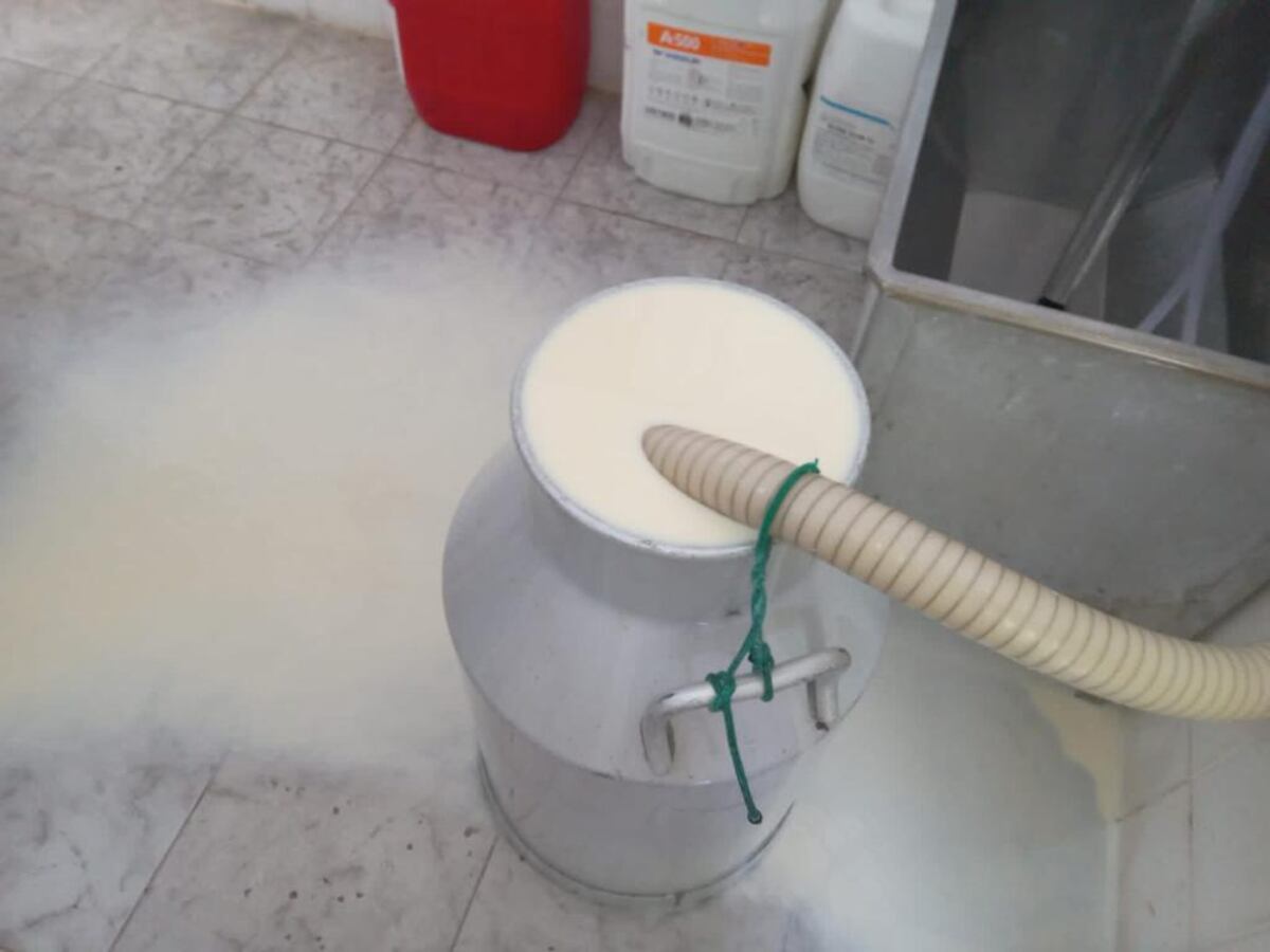 Productores de leche requieren inversión adicional para recuperarse