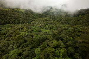 Seis acciones para posicionar su empresa en una economía net zero