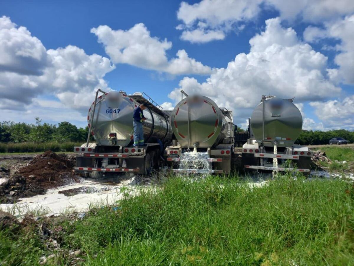 Productores de leche requieren inversión adicional para recuperarse