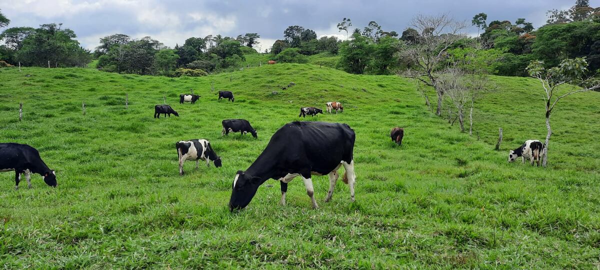 Productores de leche requieren inversión adicional para recuperarse