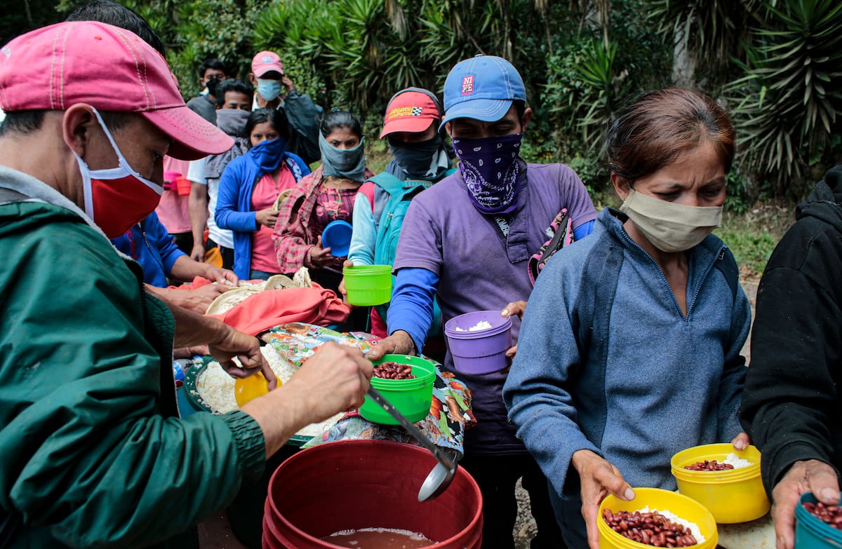 Corte de café avanza en Nicaragua en medio de la pandemia